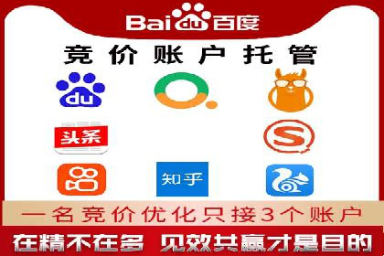 百度推广排名案例报告：某行业巨头如何运用其占领市场高地